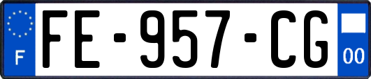 FE-957-CG