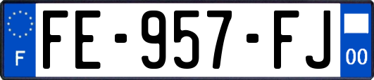 FE-957-FJ