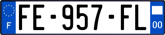 FE-957-FL