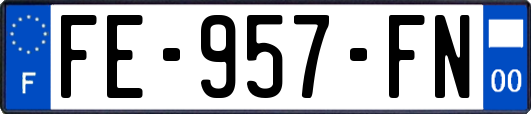 FE-957-FN