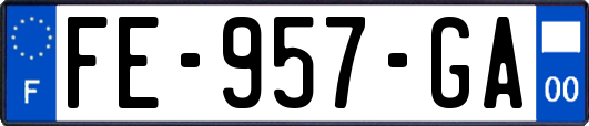 FE-957-GA