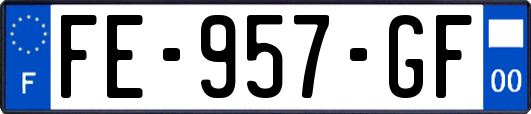 FE-957-GF