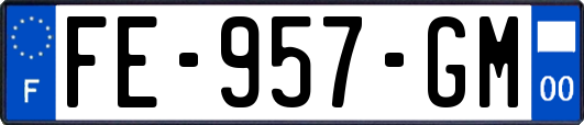 FE-957-GM