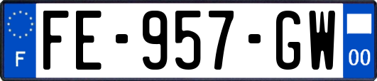 FE-957-GW