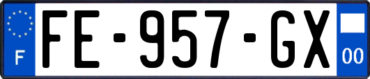 FE-957-GX