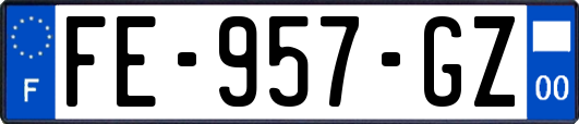 FE-957-GZ