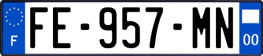 FE-957-MN