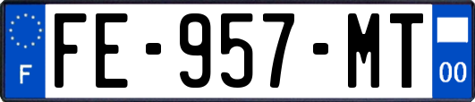 FE-957-MT