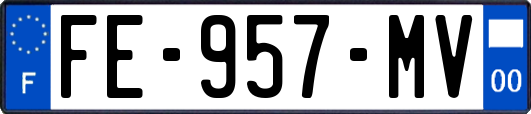 FE-957-MV