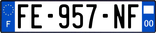 FE-957-NF