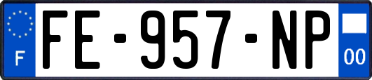 FE-957-NP