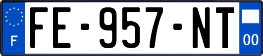 FE-957-NT