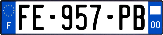 FE-957-PB
