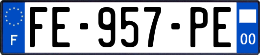FE-957-PE