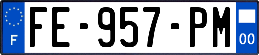 FE-957-PM