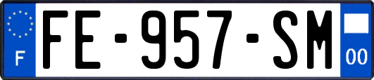 FE-957-SM