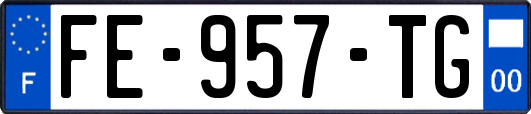 FE-957-TG