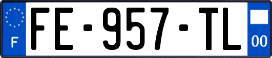 FE-957-TL