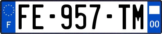 FE-957-TM