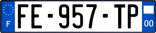 FE-957-TP