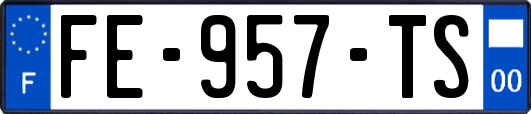 FE-957-TS