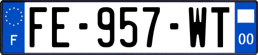 FE-957-WT