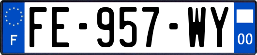 FE-957-WY