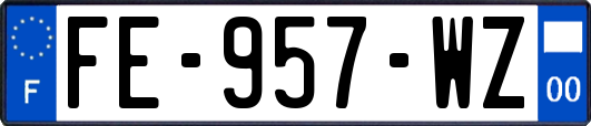 FE-957-WZ