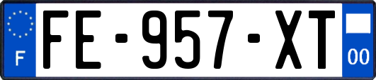 FE-957-XT