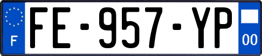FE-957-YP