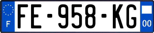 FE-958-KG