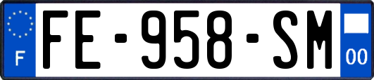 FE-958-SM