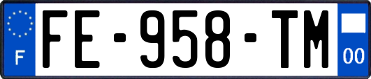 FE-958-TM