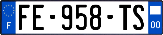 FE-958-TS