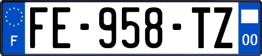 FE-958-TZ