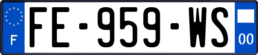 FE-959-WS