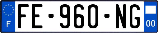 FE-960-NG