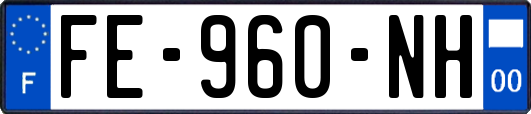 FE-960-NH