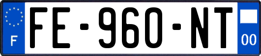 FE-960-NT