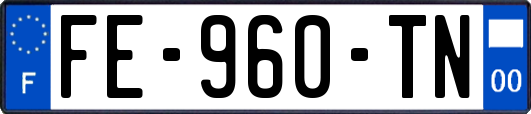 FE-960-TN