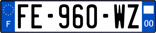 FE-960-WZ