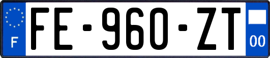 FE-960-ZT