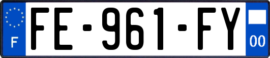 FE-961-FY