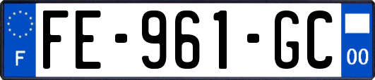 FE-961-GC