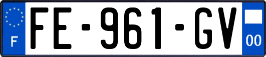 FE-961-GV