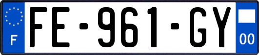 FE-961-GY