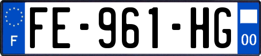 FE-961-HG