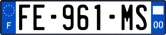 FE-961-MS