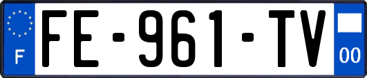 FE-961-TV