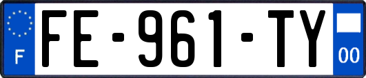 FE-961-TY